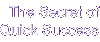 The Secret of Quick Success